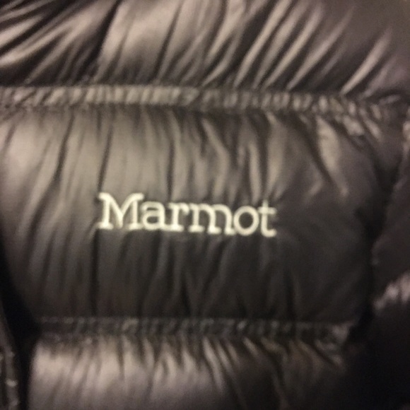 Marmont jacket - Picture 1 of 2